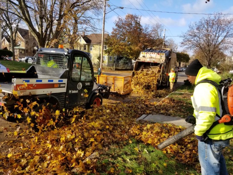 Leaf collection process. Toolcast pushing leaves into collection truck. Laborer using leaf blower. Photo from 2019.
