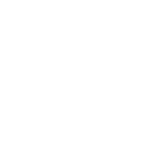 What Works Cities Silver 2023 Winner